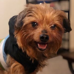 Meet your Posher, Marcie